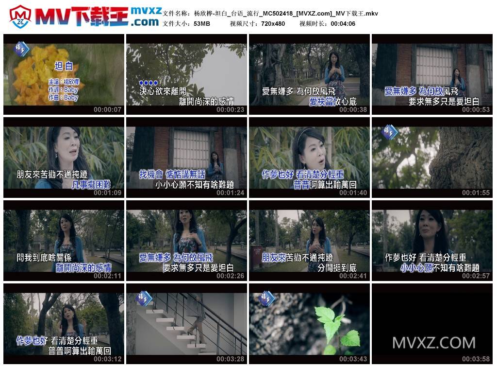 杨欣桦-坦白_台语_流行_MC502418